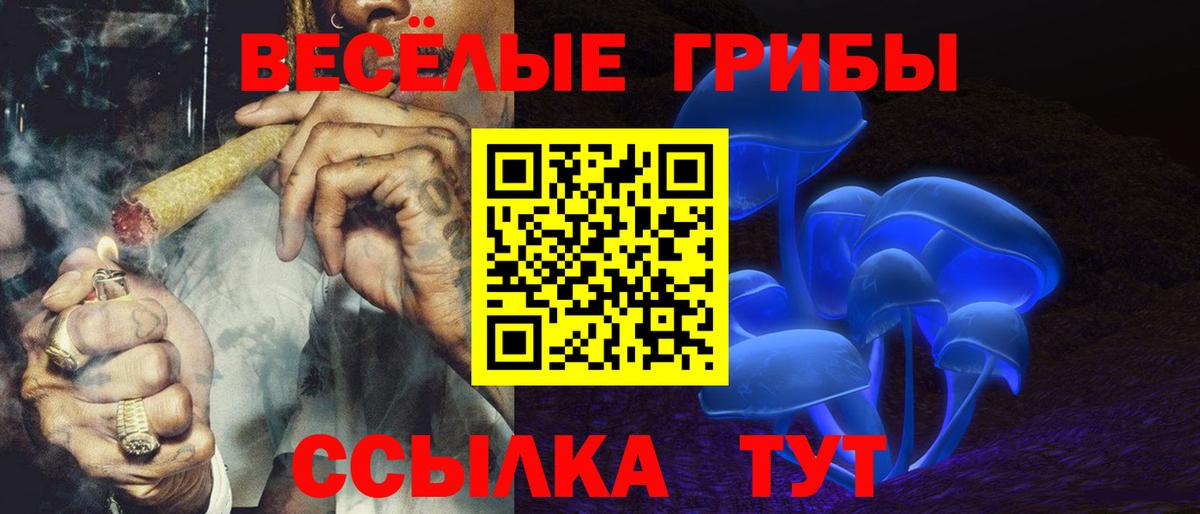 Мценск  Галлюциногенные грибы Magic Shrooms  Вход с VPN 