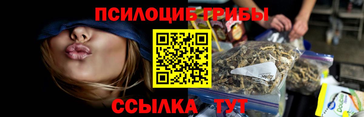 Псилоцибиновые грибы Magic Shrooms Мценск